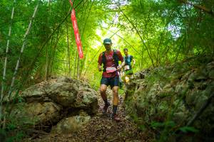 BIB: 
                            <button type="button" onclick="openModal(22086747)" class="btn btn-primary btn-sm float-right btn-popup" data-toggle="modal" data-target=".modal-high-quality">
                        <i class="fas fa-shopping-cart"></i> Add to Cart
                    </button>
                                            <button type="button" onclick="isThisMe(22086747, true)" class="btn btn-success btn-sm float-right btn-popup btn-isme hidden" data-toggle="tooltip" data-placement="bottom" title="นี่คือรูปของคุณใช่ไหม คลิกที่นี่เพื่อเอาเข้าอัลบั้ม">
                        <i class="fas fa-plus"></i> Add to album
                    </button>
                    <button type="button" onclick="isThisMe(22086747, false)" class="btn btn-warning btn-sm float-right btn-popup btn-isnotme hidden">
                        <i class="fas fa-ban"></i> Remove from album
                    </button>